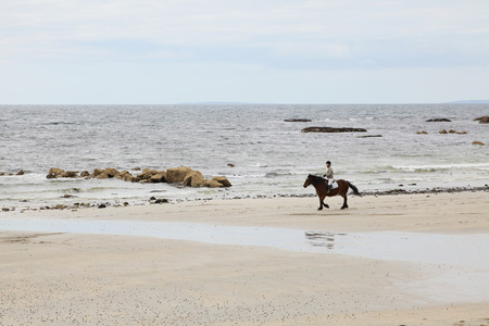 Rider exercising horse on a beach in Galway Bay Irelandのeditorial素材