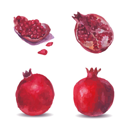Picture a pomegranate, half and quartered and grain on a white background. Can be used for flyers, menus, packaging. Ambience realistic watercolor image of a pomegranate. Vectorのイラスト素材