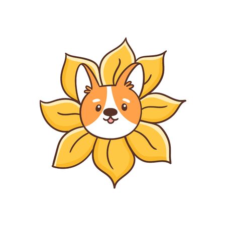 Welsh corgi dog peeks out of a sunflower. Cute vector image isolated on white background. It can be used for card, brochures, poster, sticker etc. のイラスト素材
