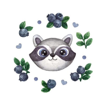 Nursery print with cute raccoon and blueberry. Woodland animal isolated on white background. Watercolor illustration in cartoon style for kidsのイラスト素材