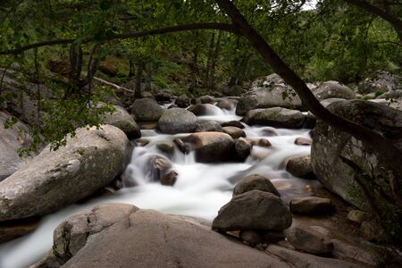 silk effect with stones in  a forestの写真素材