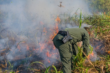POLICE EXTINGUISHING FIRE IN SUGARCANE CULTIVATIONのeditorial素材