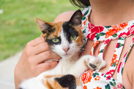 woman whit cat in her arms in the foregroundの写真素材