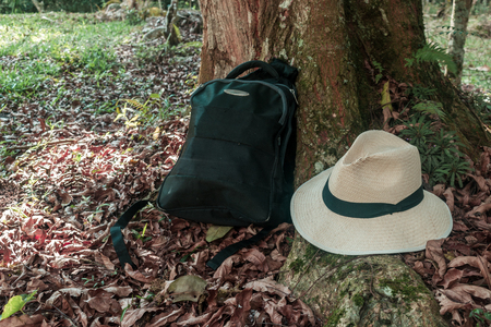 backpack and hat placed on the root of a tree in a scene of tranquility and invitation to travelの写真素材