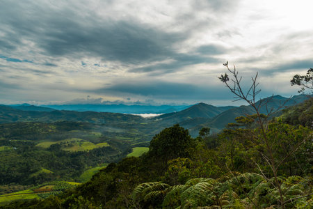 COLOMBIAN MOUNTAIN LANDSCAPE AT SUNRISE WITH NICE CLOUDS AND COFFEE CROPS IN THE BACKGROUND