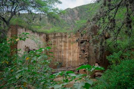 PEASANT HOUSE RUINS MADE OF BAREQUE IN THE CHICAMOCHA CANYON COLOMBIA