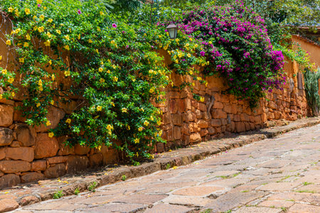 Stone wall beside a sidewalk in Barichara, Colombia, covered with vibrant fuchsia bougainvillea and blooming yellow allamanda flowers.の写真素材