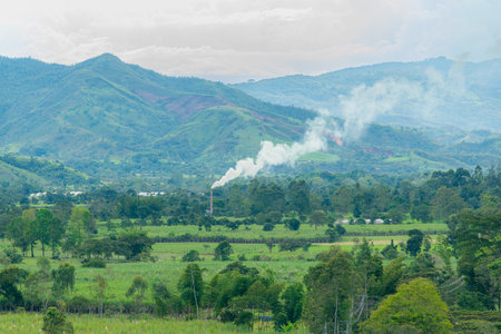 Scenic sugarcane valley with a smoking chimney from a traditional panela factory. Surrounded by green fields and framed by mountains in the backgroundの写真素材