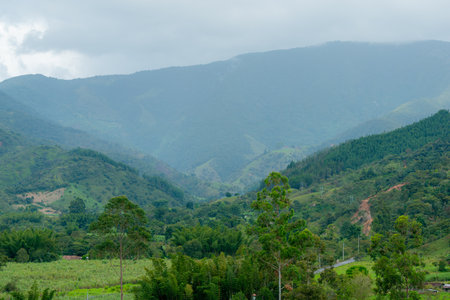 Rain falls gently over the Colombian mountains, covering farmland with mist. A tranquil rural landscape blends crops, green hills, and cloudy skies in the afternoon.の写真素材