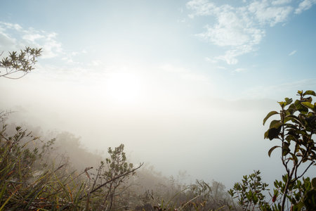 Expansive view of a foggy valley, with golden sunlight piercing through thick mist, creating a...