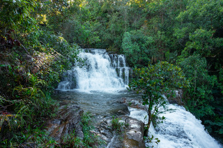 Powerful waterfall creating foamy white water flowing over rugged rocks, surrounded by dense green...
