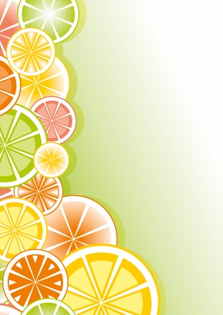 Background from different types of citrusesのイラスト素材