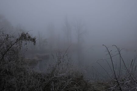 Foggy morning. Gray mystical landscape.の写真素材
