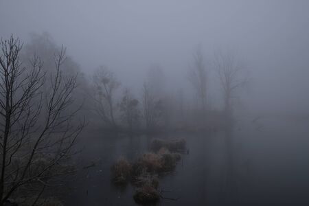 Foggy morning. Gray mystical landscapeの写真素材