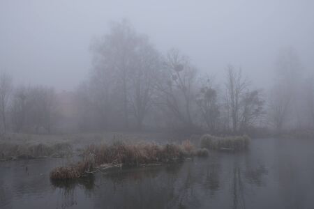 Foggy morning. Gray mystical landscapeの写真素材