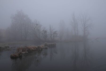 Foggy morning. Gray mystical landscape.の写真素材