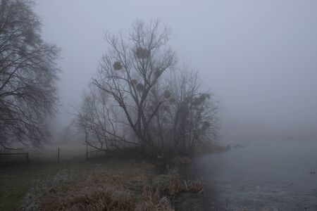 Foggy morning. Gray mystical landscapeの写真素材