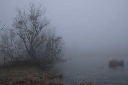 Foggy morning. Gray mystical landscape.の写真素材
