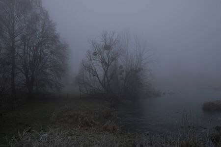 Foggy morning. Gray mystical landscape.の写真素材