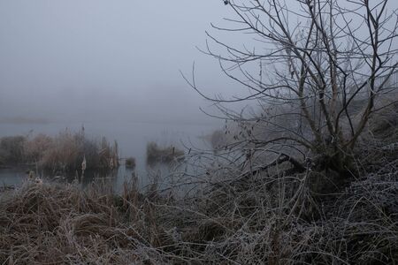 Foggy morning. Gray mystical landscape.の写真素材
