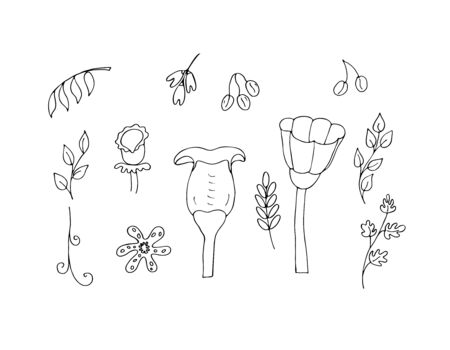 Vegetable set for your design. Isolated on a white background. Stock vector illustration. Black and white graphics. Minimalism. Hand drawn.のイラスト素材