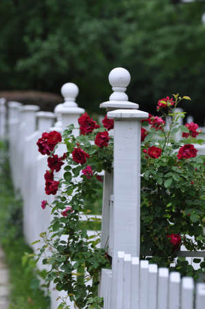 Decorated Picket Fenceの写真素材