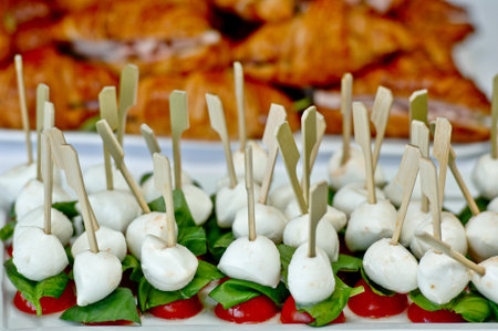 little mozzarella caprese