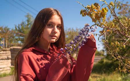 Blue eyed beauty girl takes a flowersの写真素材