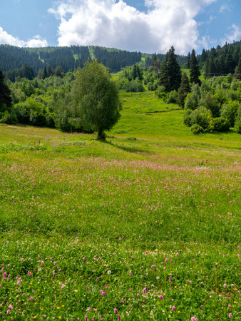 Vertical photo of beautiful Georgian mountains landscapeの写真素材