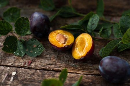 Aesthetic Shoot of cut plum with branches like in grandmother garden.の写真素材