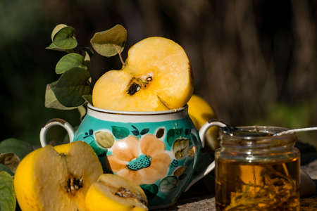 Natural organic quince right from garden in the vase with a branches and leaves.の写真素材