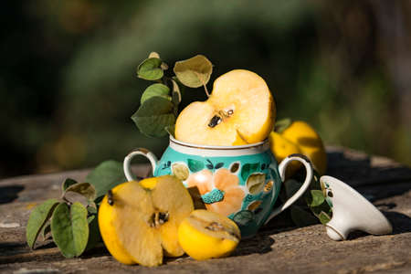 Autumn still life photo of ripe quince in grandmas vase near the honey cupの写真素材