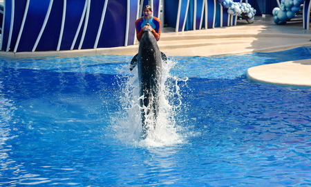Orlando, Florida. September 11, 2018 Instructor pushed up by dolphin at Seaworld Dolphin Days Show.のeditorial素材