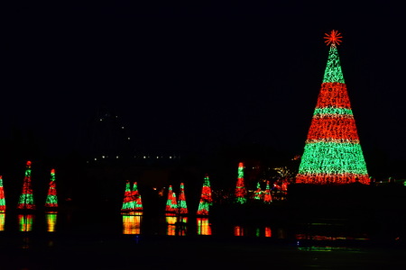 Orlando, Florida. November 19, 2018. Colorful illuminated Christmas trees and their reflection in the lake at night in International Drive area (4)のeditorial素材