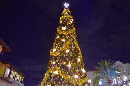 Orlando, Florida. November 17, 2018 Top view of illuminated and decorated Christmas tree at night on open mall in Lake Buena Vista areaのeditorial素材