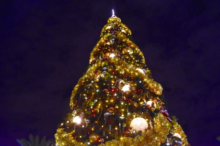 Orlando, Florida. November 15, 2018 Top view Christmas Tree on dark blue night background in Lake Buena Vista areaのeditorial素材