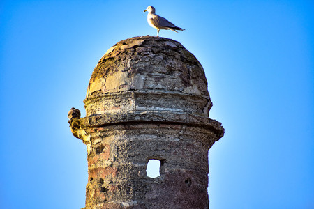 St. Augustine, Florida. January 26, 2019. Panoramic view of St. Mark's Castle on lightblue background in Floridas Historic Coast (5)のeditorial素材
