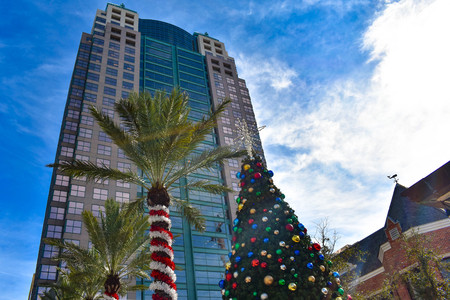 Orlando, Florida . December 25, 2018. Modern buildings, Christmas Tree and palm trees decorated for Christmas at Church Street in Orlando Downtown area.のeditorial素材