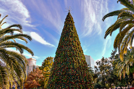 Orlando, Florida . December 24, 2018. Top view of Christmas Tree and palm trees in Lake Eola Park area at Orlando Downtown (1)のeditorial素材