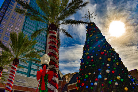 Orlando, Florida . December 24, 2018. Palm trees decorated for Christmas and Christmas Tree on sunset background in Orlando Downtown area.のeditorial素材
