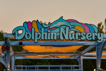 Orlando, Florida . February 26, 2019. Top view of Dolphin Nursery sign at Seaworld Theme Park.のeditorial素材
