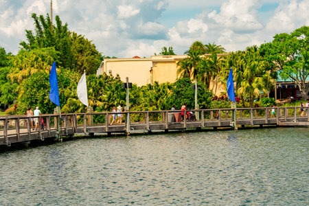 Orlando, Florida. April 7, 2019. Partial view of wood bridge, palms and forest trees on cloudy sky...