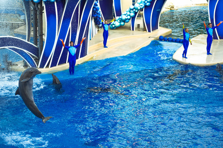 Orlando, Florida. December 25, 2018. Dolphin jumping in colorful Dolphin Day show, It is a festive celebration of our natural world at Seaworld in International Drive areaのeditorial素材