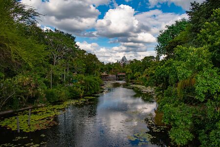 Orlando, Florida. May 03, 2019. Beautiful view of rainforest and river in Animal Kingdom at Walt Disney World areaのeditorial素材