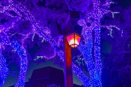 Tampa Bay, Florida. January 05, 2019. Streetlight and illuminated trees on Christmas garden at Busch Gardens (1)のeditorial素材