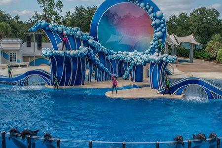 Orlando, Florida. June 23 2019. Beautiful view of Bayside Stadium at Seaworld 2