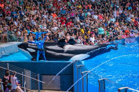 Orlando, Florida. July 18, 2019. People having fun killer killer whales in One Ocean show at Seaworld 10のeditorial素材
