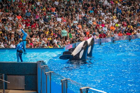 Orlando, Florida. July 18, 2019. People having fun killer killer whales in One Ocean show at Seaworld 20のeditorial素材