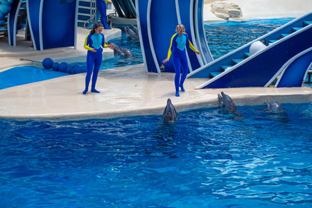 Orlando, Florida. July 18, 2019. Dolphin and trainers at Dolphin Days show at Seaworld 5のeditorial素材