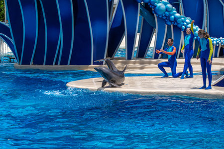 Orlando, Florida. July 29, 2019. Coaches watching dolphin come out of the water and make a spectacular turn in Dolphin Days show at Seaworld 1のeditorial素材